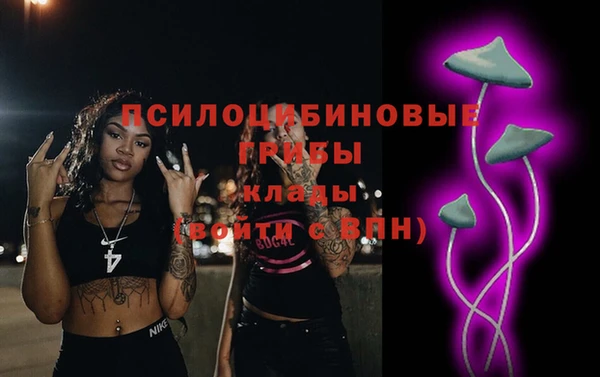 ГАЛЛЮЦИНОГЕННЫЕ ГРИБЫ Белокуриха