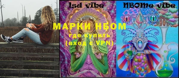 ГАЛЛЮЦИНОГЕННЫЕ ГРИБЫ Белокуриха