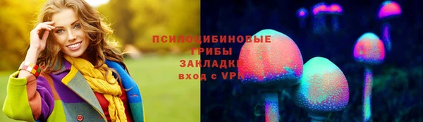 ГАЛЛЮЦИНОГЕННЫЕ ГРИБЫ Белокуриха