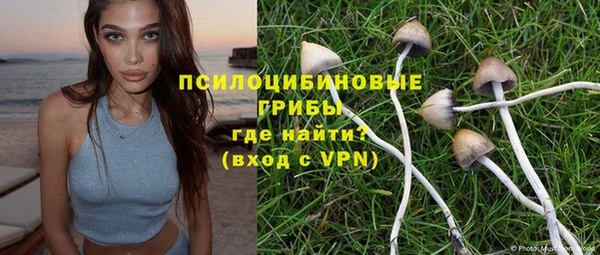 ГАЛЛЮЦИНОГЕННЫЕ ГРИБЫ Белокуриха