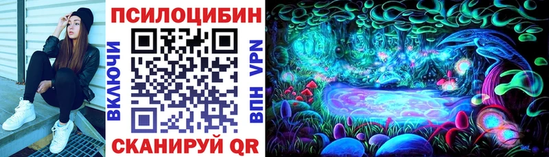 Галлюциногенные грибы прущие грибы  купить наркотики сайты  Чудово 