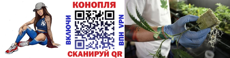 Бошки марихуана ГИДРОПОН  мориарти официальный сайт  Чудово 